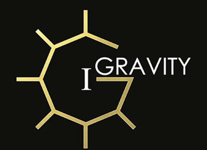 1Gravity logo